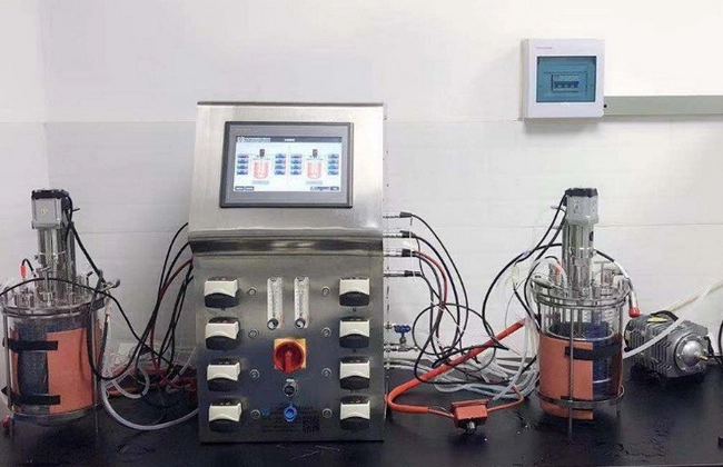 applikon glass bioreactor