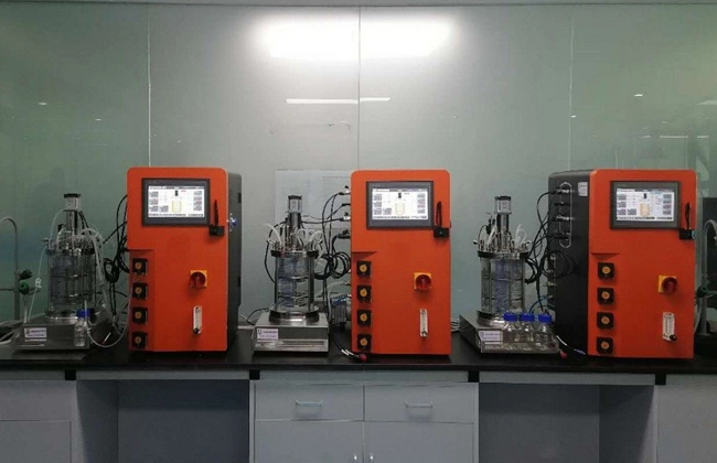 benchtop glass bioreactor