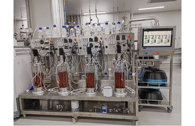 mammalian cell culture bioreactor