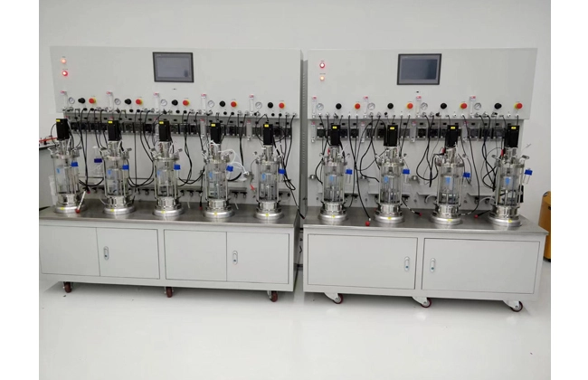 multi parallel bioreactor